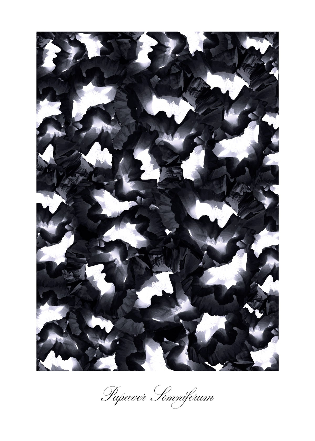 Black Poppy Poster