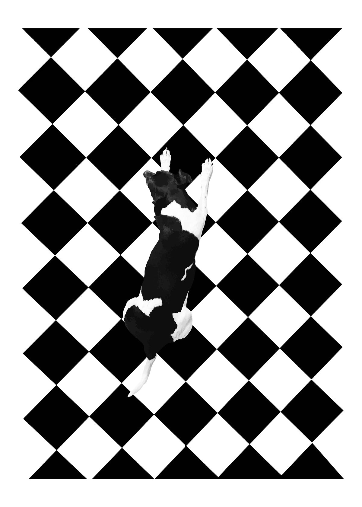 Checkmate Poster