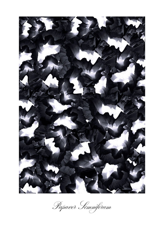 Black Poppy Poster
