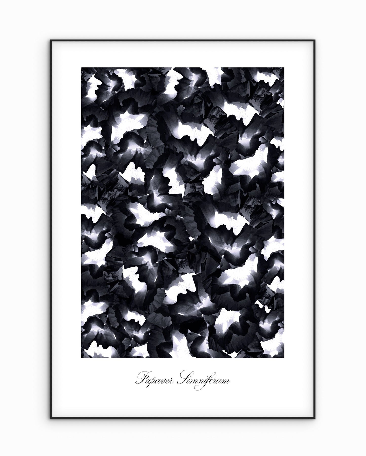Black Poppy Poster